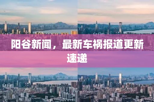 阳谷新闻，最新车祸报道更新速递