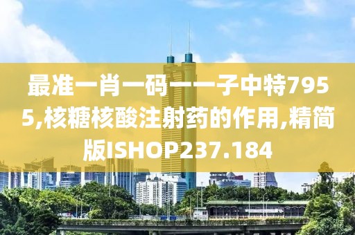 最准一肖一码一一子中特7955