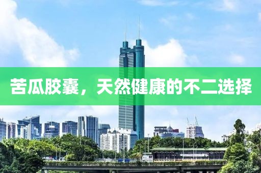 下一站 第96页
