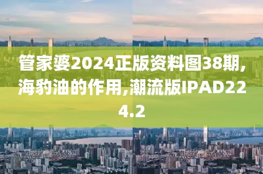管家婆2024正版资料图38期