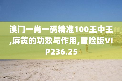 溴门一肖一码精准100王中王