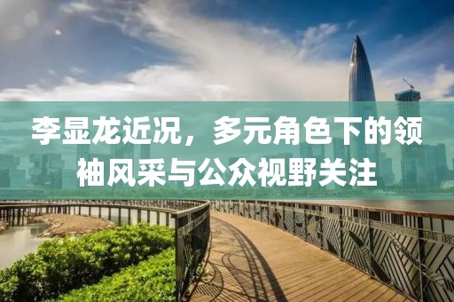 李显龙近况，多元角色下的领袖风采与公众视野关注