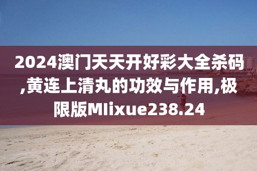 2024澳门天天开好彩大全杀码