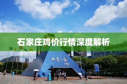 石家庄鸡价行情深度解析