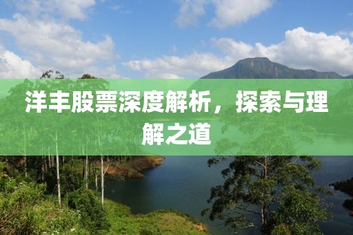 洋丰股票深度解析，探索与理解之道