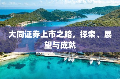 大同证券上市之路，探索、展望与成就