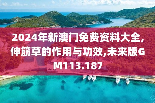 2024年新澳门免费资料大全,伸筋草的作用与功效,未来版GM113.187