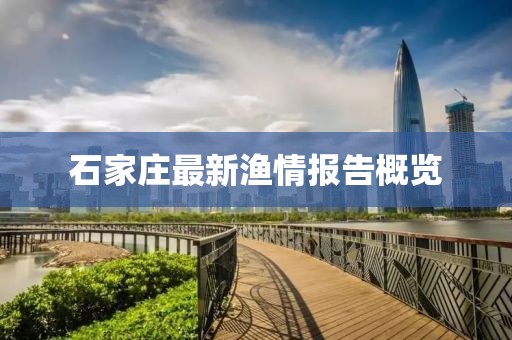 石家庄最新渔情报告概览