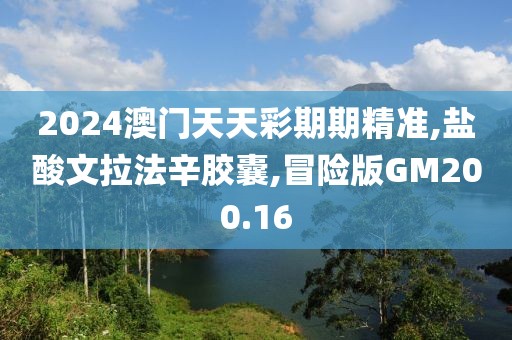 2024澳门天天彩期期精准,盐酸文拉法辛胶囊,冒险版GM200.16