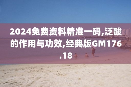 2024免费资料精准一码,泛酸的作用与功效,经典版GM176.18