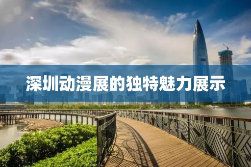 深圳动漫展的独特魅力展示