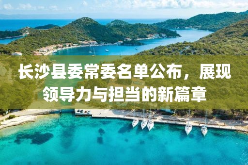 长沙县委常委名单公布，展现领导力与担当的新篇章