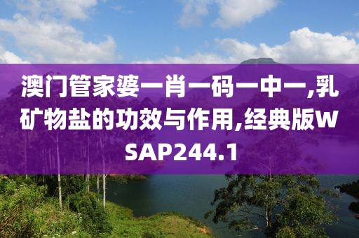 澳门管家婆一肖一码一中一,乳矿物盐的功效与作用,经典版WSAP244.1