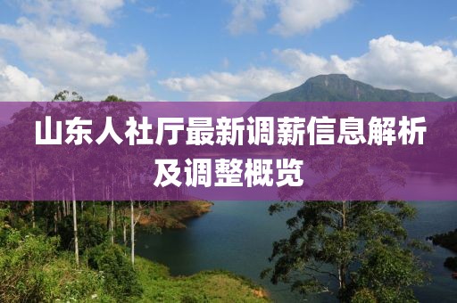 山东人社厅最新调薪信息解析及调整概览