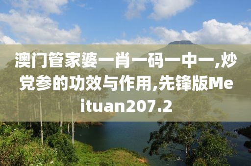 澳门管家婆一肖一码一中一,炒党参的功效与作用,先锋版Meituan207.2