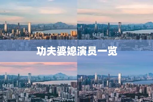 功夫婆媳演员一览
