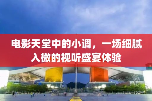 电影天堂中的小调，一场细腻入微的视听盛宴体验