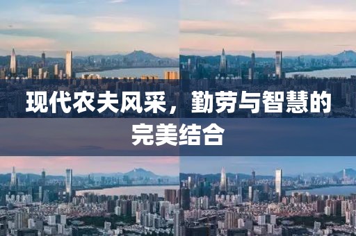 现代农夫风采，勤劳与智慧的完美结合
