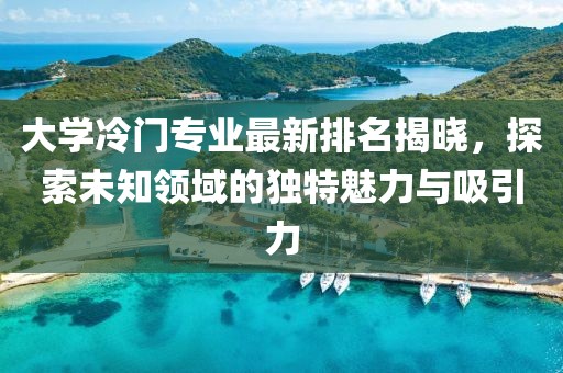 大学冷门专业最新排名揭晓，探索未知领域的独特魅力与吸引力