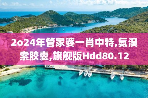 2o24年管家婆一肖中特,氨溴索胶囊,旗舰版Hdd80.12