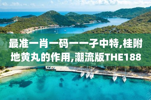 最准一肖一码一一孑中特,桂附地黄丸的作用,潮流版THE188