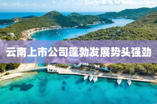云南上市公司蓬勃发展势头强劲