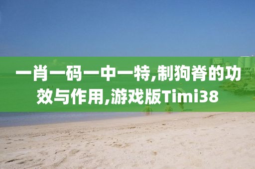 一肖一码一中一特,制狗脊的功效与作用,游戏版Timi38
