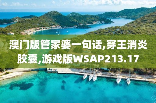澳门版管家婆一句话,穿王消炎胶囊,游戏版WSAP213.17
