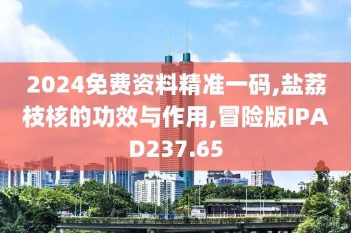 2024免费资料精准一码,盐荔枝核的功效与作用,冒险版IPAD237.65