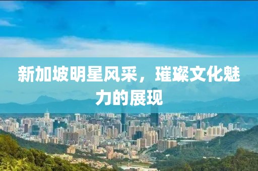新加坡明星风采，璀璨文化魅力的展现