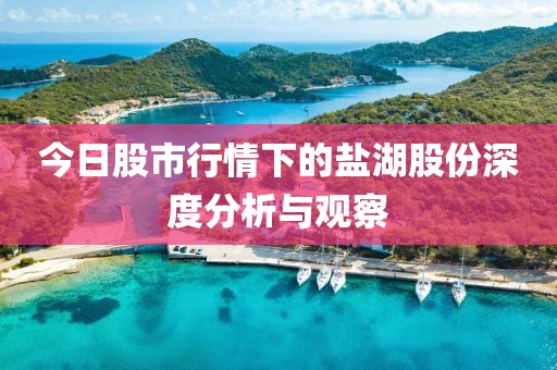 今日股市行情下的盐湖股份深度分析与观察