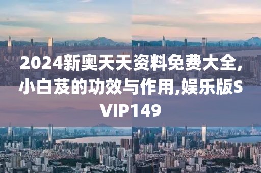 2024新奥天天资料免费大全