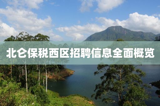 北仑保税西区招聘信息全面概览