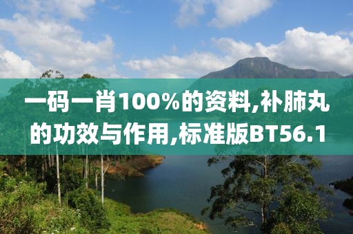 一码一肖100%的资料,补肺丸的功效与作用,标准版BT56.1