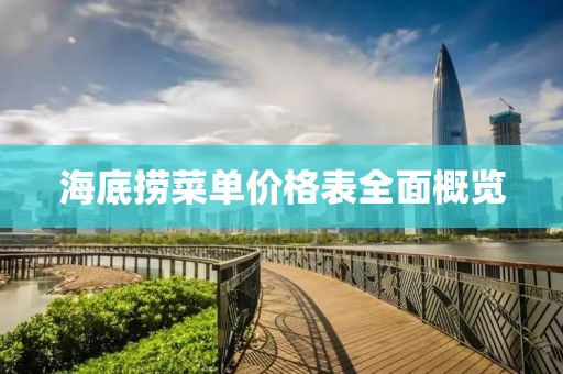 海底捞菜单价格表全面概览