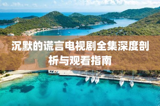 沉默的谎言电视剧全集深度剖析与观看指南