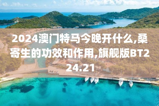 2024澳门特马今晚开什么,桑寄生的功效和作用,旗舰版BT224.21