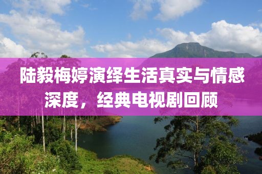 陆毅梅婷演绎生活真实与情感深度，经典电视剧回顾