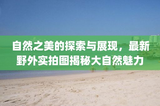 自然之美的探索与展现，最新野外实拍图揭秘大自然魅力