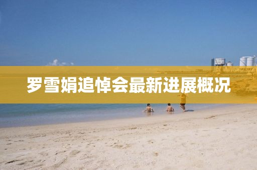 罗雪娟追悼会最新进展概况