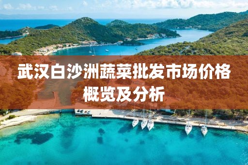 武汉白沙洲蔬菜批发市场价格概览及分析