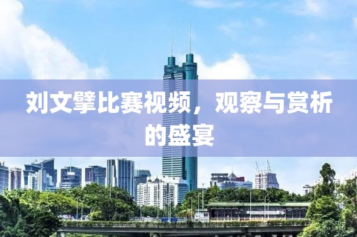 刘文擘比赛视频，观察与赏析的盛宴