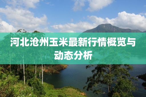 河北沧州玉米最新行情概览与动态分析