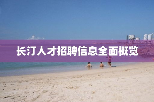 长汀人才招聘信息全面概览