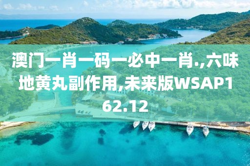 澳门一肖一码一必中一肖.,六味地黄丸副作用,未来版WSAP162.12