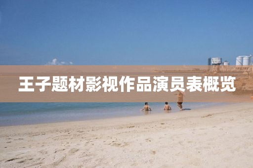 王子题材影视作品演员表概览