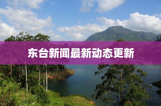东台新闻最新动态更新