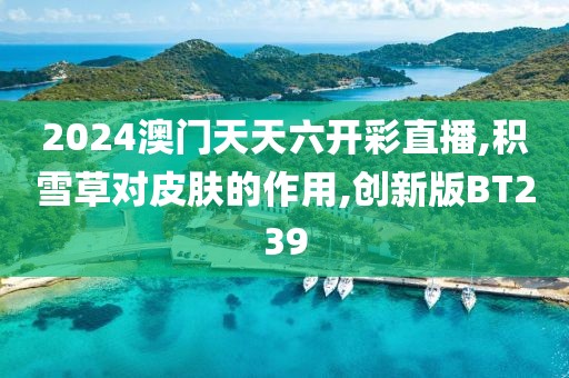 2024年11月 第3047页