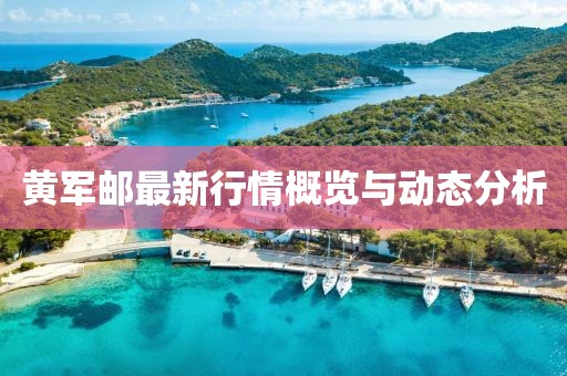 黄军邮最新行情概览与动态分析