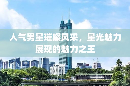 人气男星璀璨风采，星光魅力展现的魅力之王